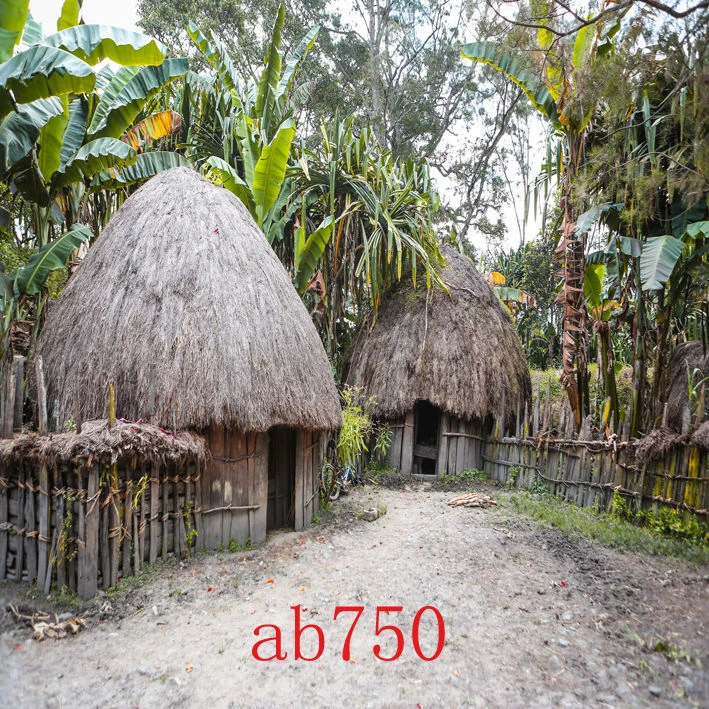 抖音直播背景布拍照风景画大自然山水网红直播间农村破房子