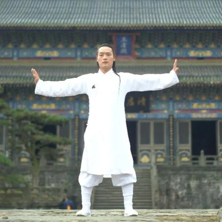 【精选好课】武当八部金刚功，用内劲之气养生