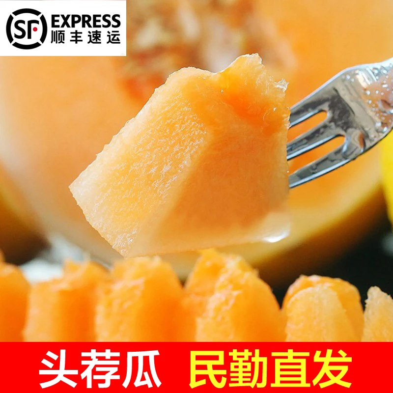 【顺丰快递】甘肃民勤沙漠新鲜黄河蜜瓜4-11斤，产地直发坏果包赔