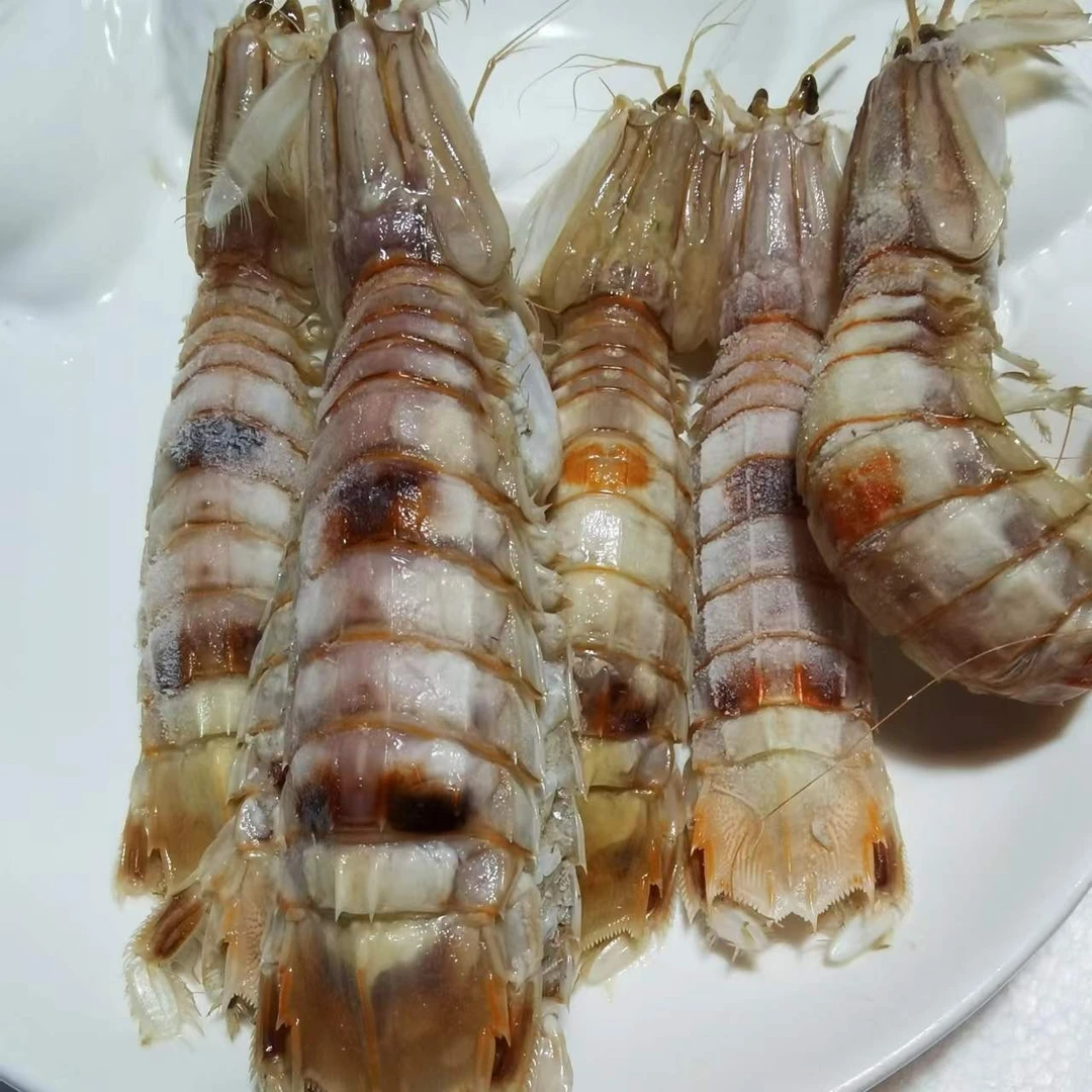 舟山船冻超大美味大部带膏活烤皮皮虾8—12只/斤  2  斤装