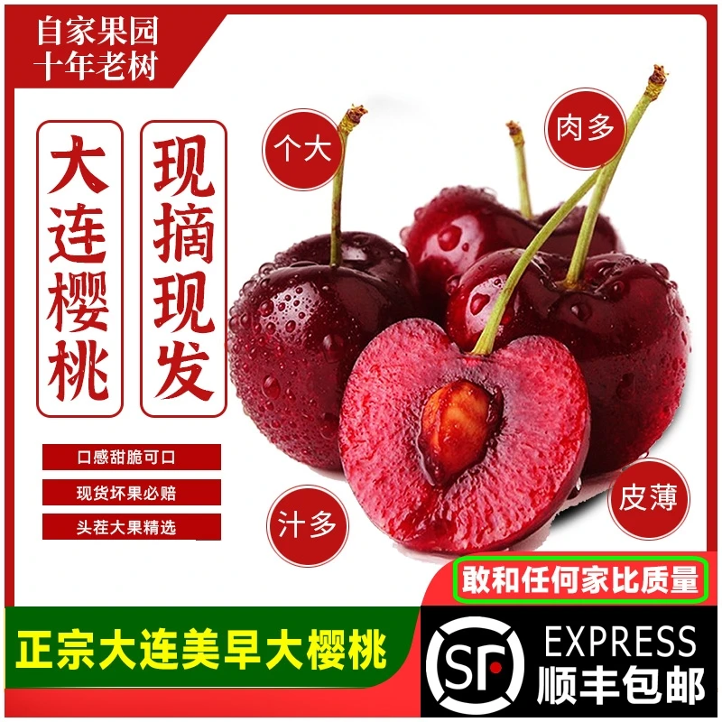 正宗大连美早樱桃2J3J4J1.8/2.8/4.8斤顺丰空运包邮