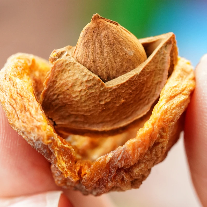 新疆伊犁特产树上吊干杏小红杏一杏两吃500克包邮