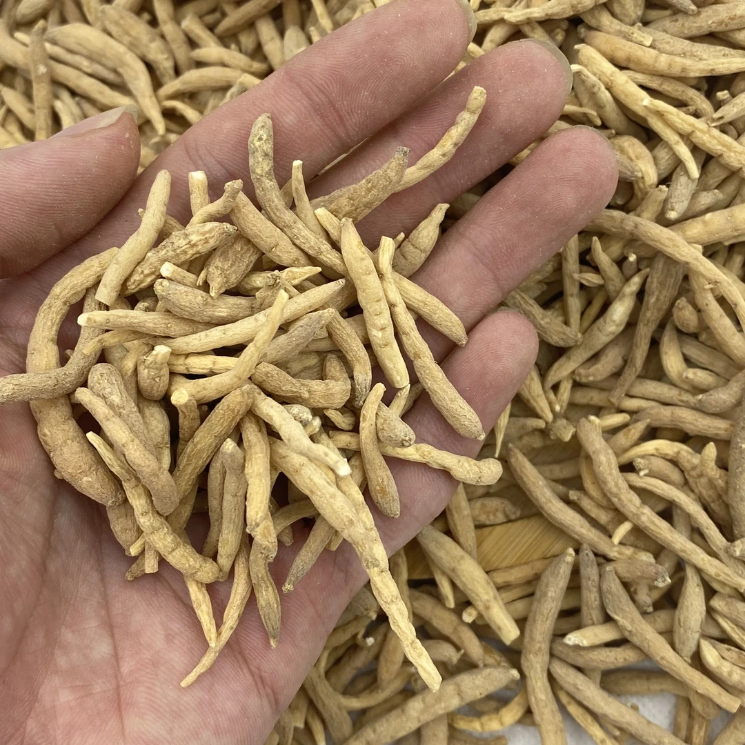 【凤姐甄选】孩子参太子参无硫可煮水煲汤250克～500克包邮