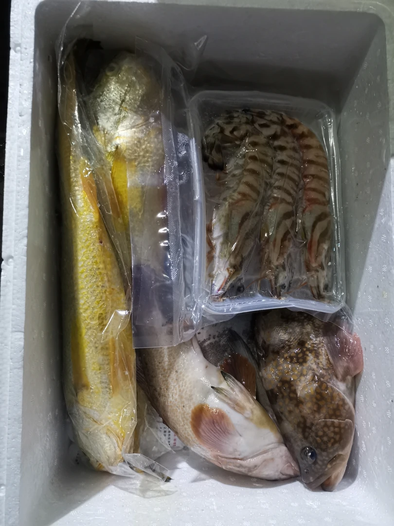 新鲜海鲜，现捕现发货，一箱10斤左右特产霞浦美味