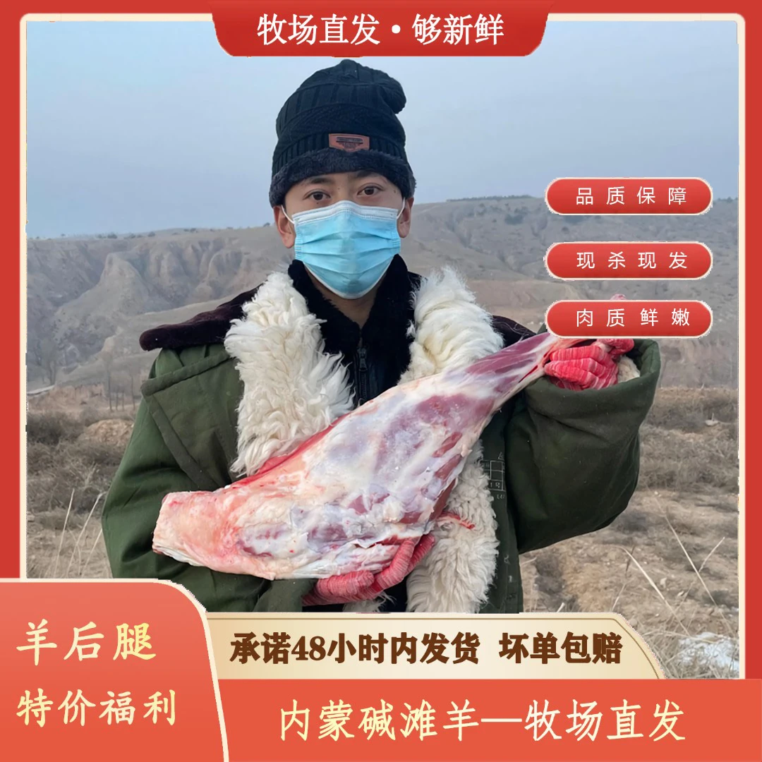 【内蒙古碱滩羊】羊后腿羊腿5斤直播现切鲜肉羊肉新鲜羊腿羔羊腿