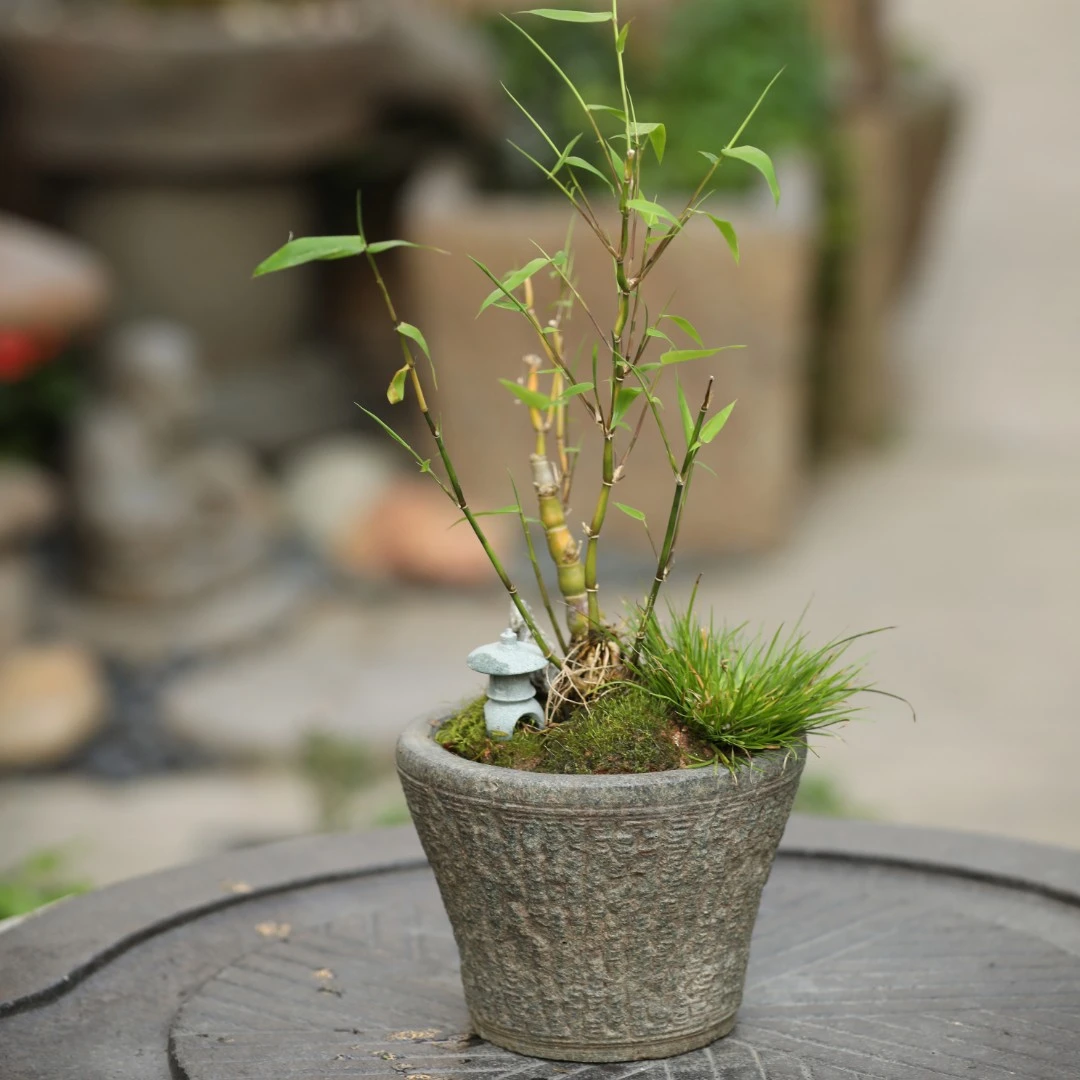 邑园仿石花边盆花器
