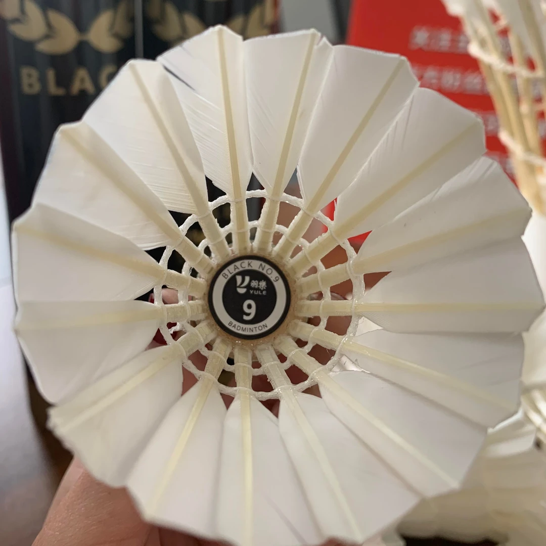 黑羽9号（训练球）福利款-鹅毛和鸭毛混装