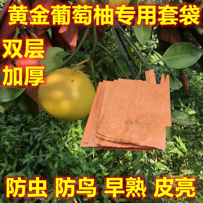 柑橘套袋黄金葡萄柚专用加厚早熟果套纸袋子桔柚橙子贡柚防虫保护