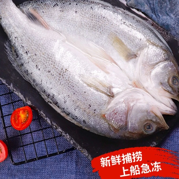 【韦大厨海鲜｜新疆包邮】新鲜海鲈鱼500g左右冷冻开背鲈鱼鲜嫩美味