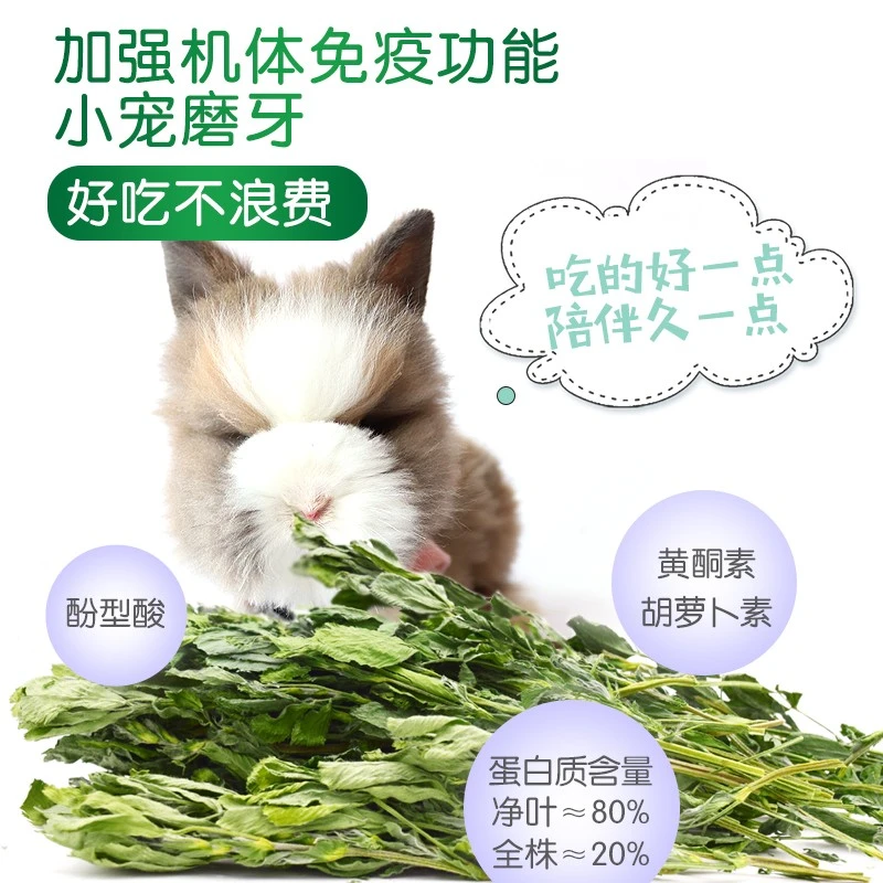 宠物兔子吃的草紫花苜蓿草新鲜烘干牧草龙猫粮豚鼠饲料干草嫩草尖