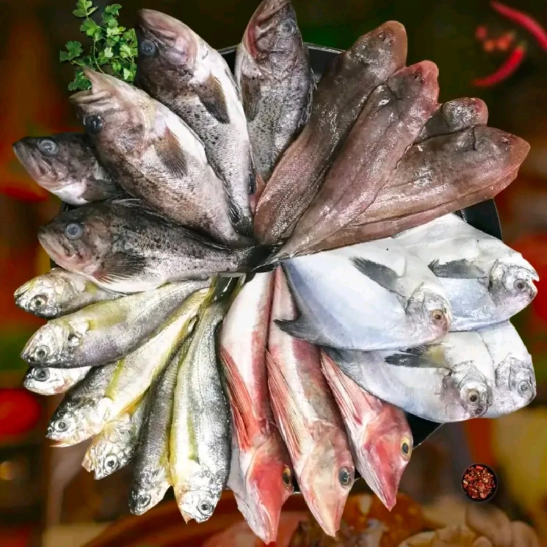 连云港  新鲜速冻 冷冻海杂鱼  净含量500g/包