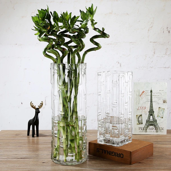 富贵竹丨轻奢落地玻璃花瓶透明富贵竹插花百合花水养客厅现代简约