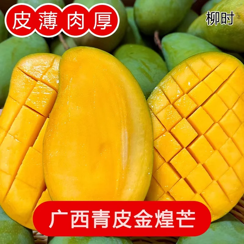 【航航妈专属】广西青皮金煌芒甜心芒果净重5斤/8斤水果催熟食用