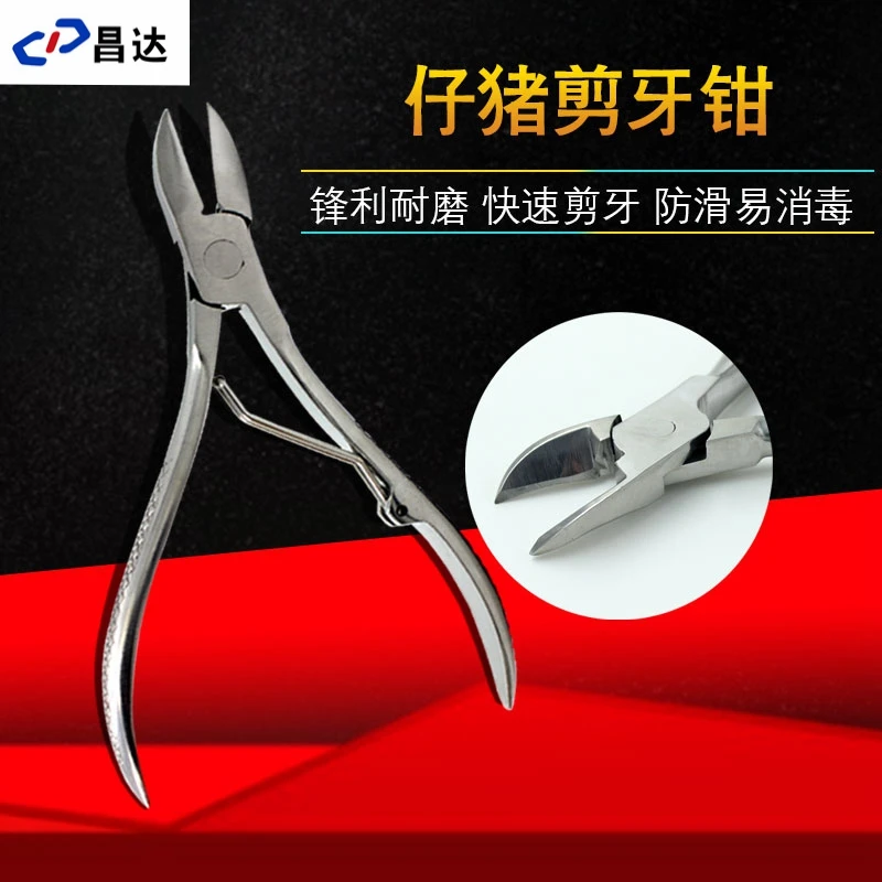 小猪剪牙钳牙齿猪用给兔子剪牙器钳子不锈钢兽用仔猪牙小猪剪牙钳