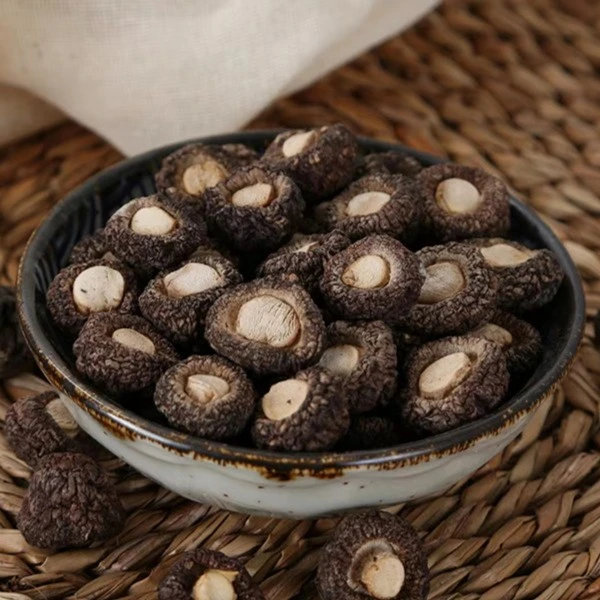 福建种植小香菇菌菇礼盒肉质营养新鲜 煲汤食材礼盒200g-680g