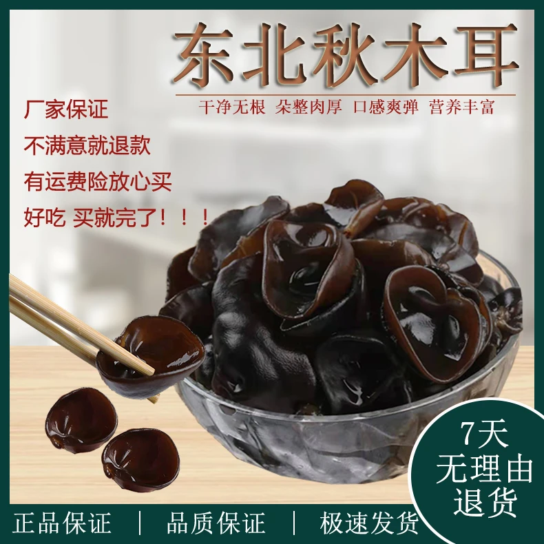 大东北营养食用秋木耳 .