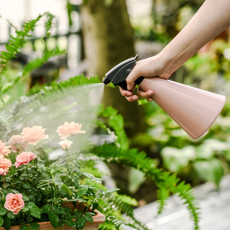谢冰燃绿色喷壶浇花浇水园艺养花家用洒水壶喷雾器消毒专用