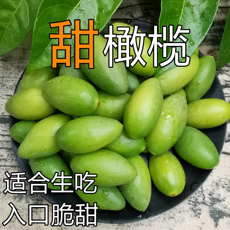 金灶甜橄榄水果甜种橄榄适合生吃酥脆无渣500g包邮