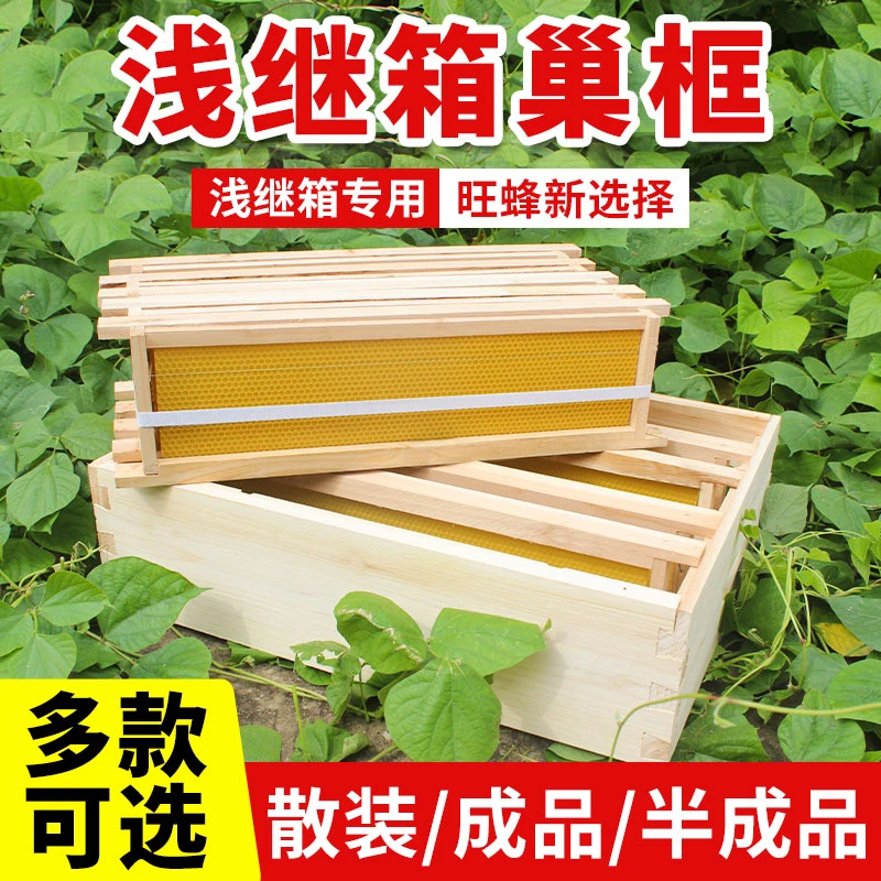 中蜂浅继箱成品巢框养蜂王双层蜂箱浅继箱加巢框小隔板养蜂工具