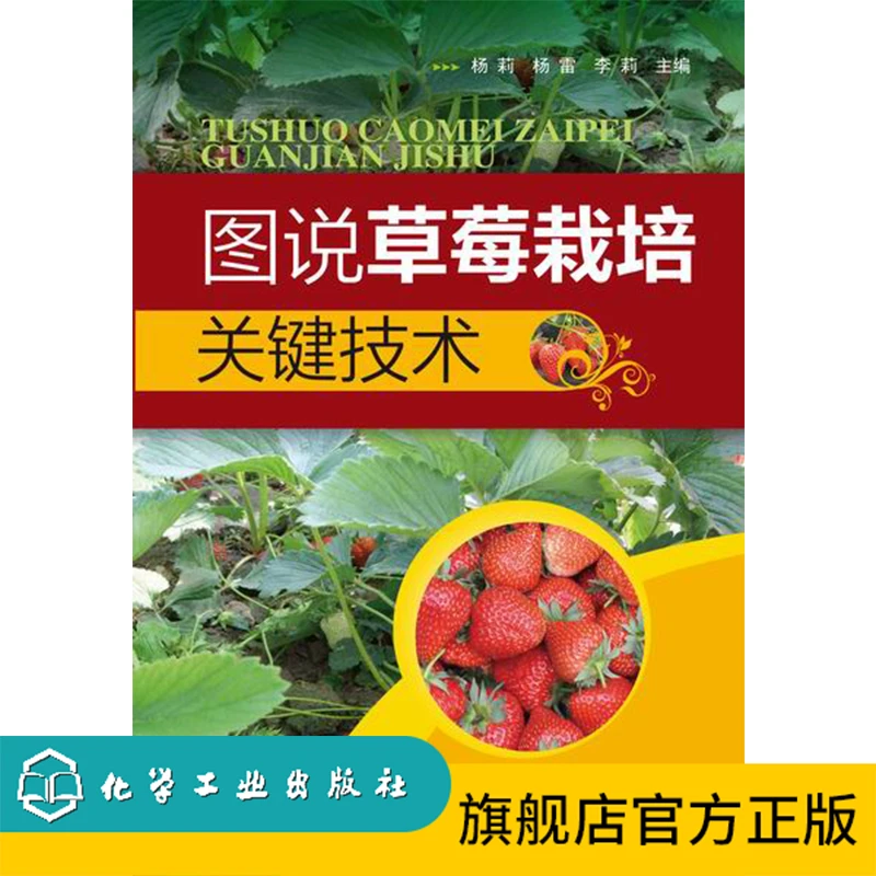 图说草莓栽培关键技术