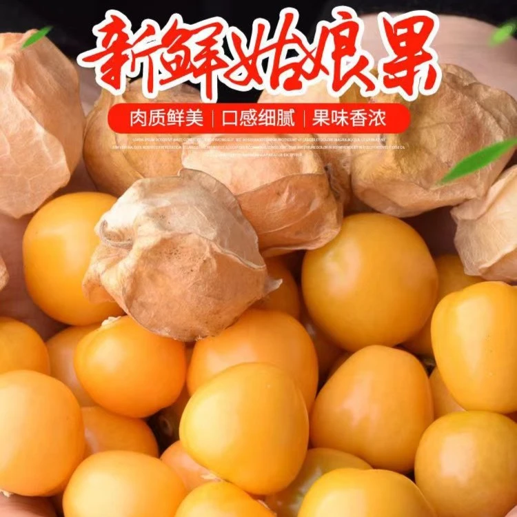 中国甜姑娘之乡海伦 小姑娘果