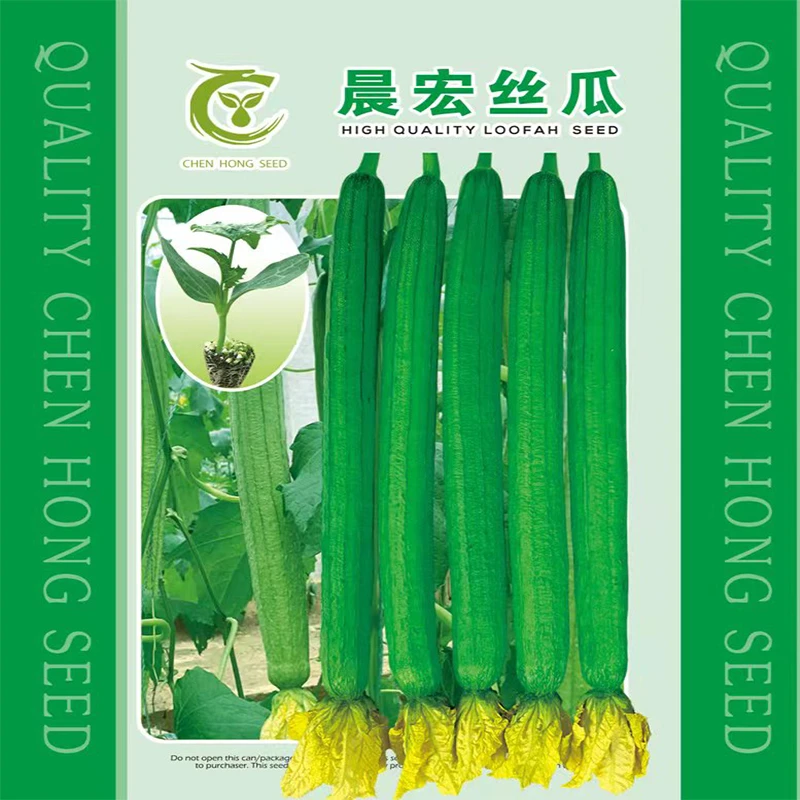 特长丝瓜种子四季苗秧蔬菜种籽早熟高产春秋温室露天爬藤植物