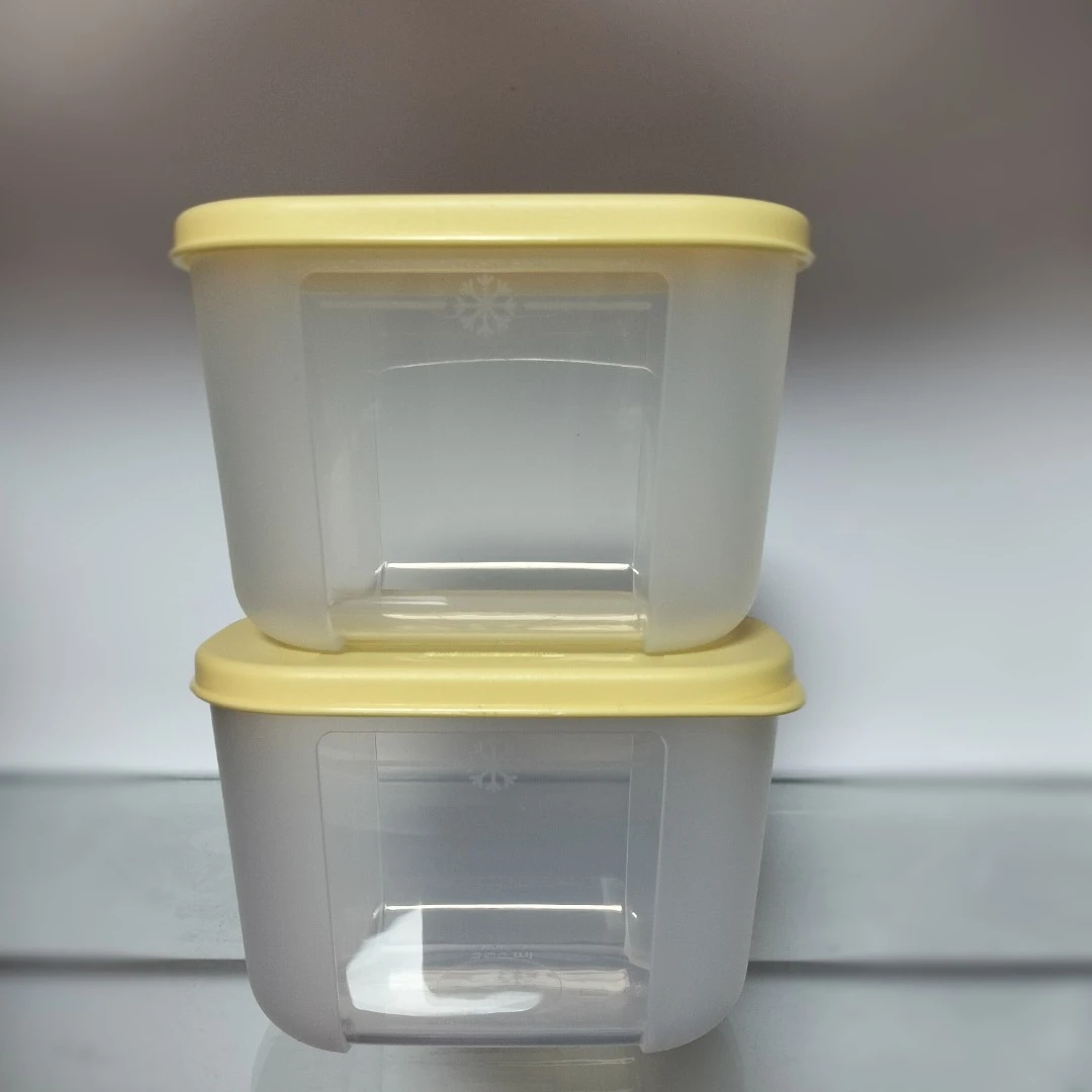 特百惠冷冻盒 日日鲜300毫升冷冻保鲜盒 冷藏冷冻保鲜储物盒