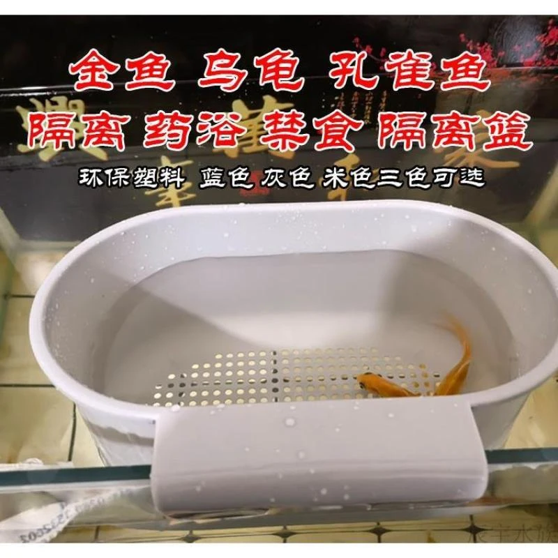 挂钩隔离盒乌龟苗活体鱼缸孔雀鱼孵化盒饲养盒金鱼失鳔禁食隔离篮