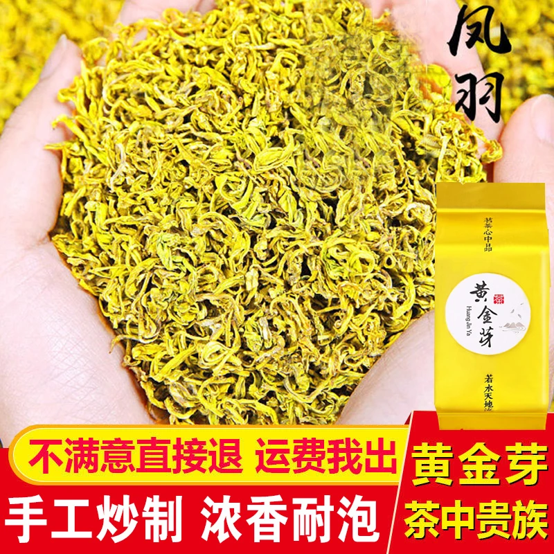原产地手工黄金芽正宗茶叶2025新茶口粮茶浓香耐泡型罐装品质绿茶