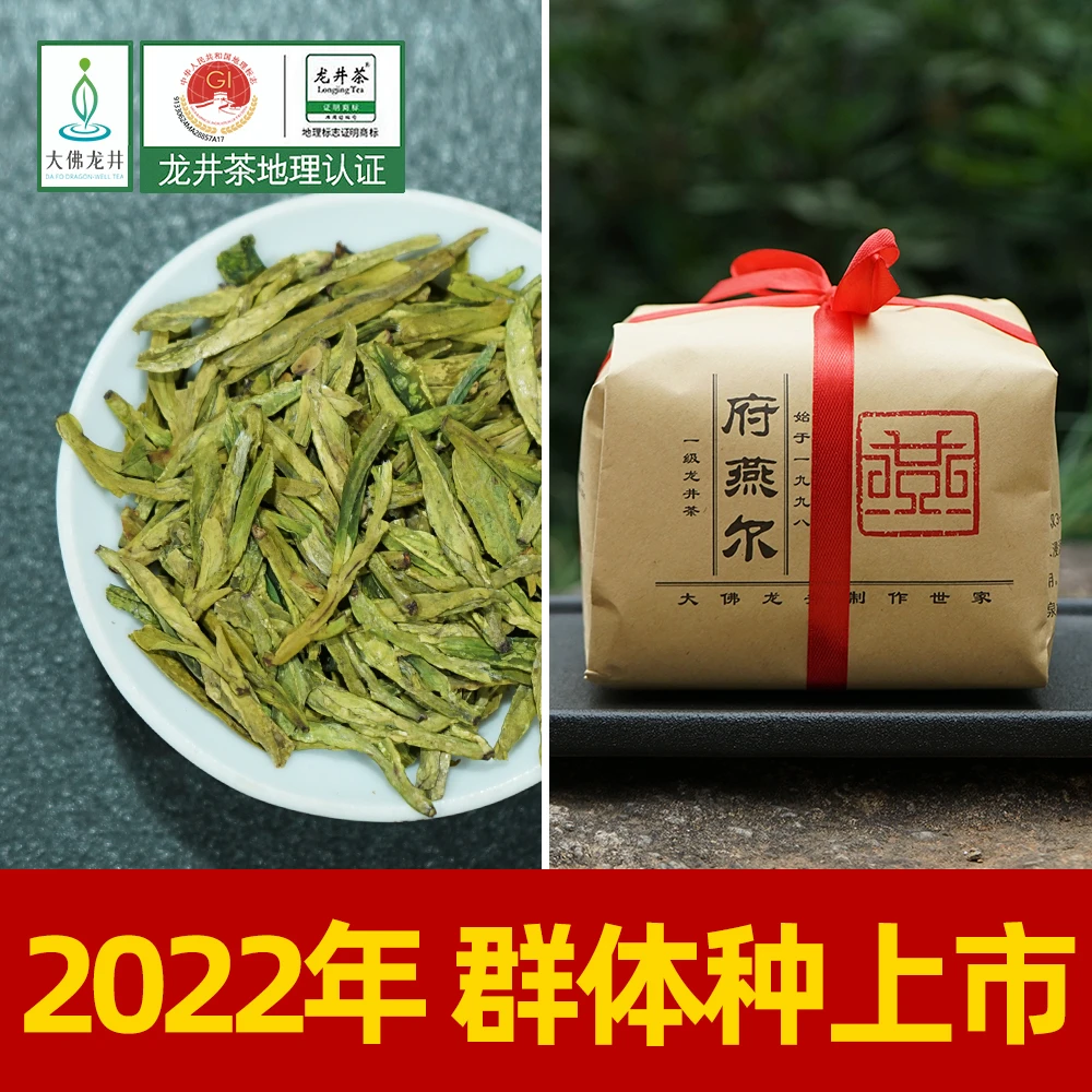 【鸟哥严选】2023年新昌大佛龙井明前群体种土茶老茶树绿茶250g