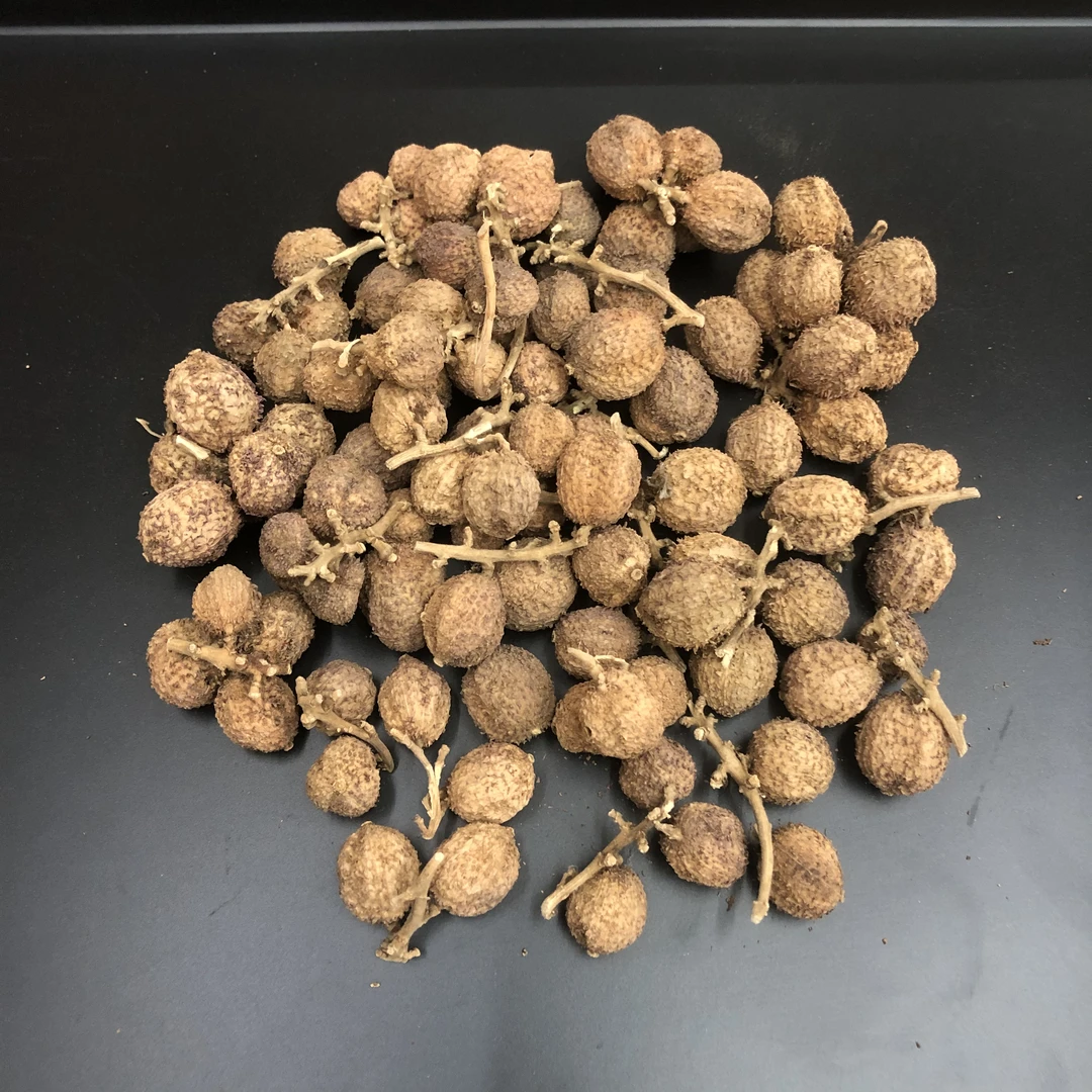 阳春春砂仁 大粒果实