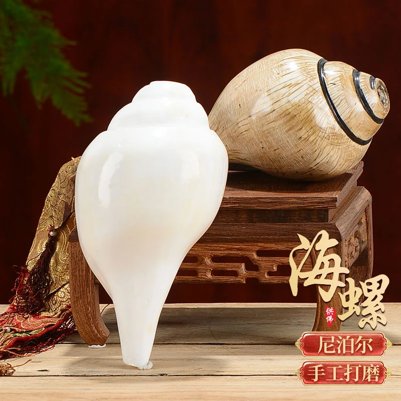 藏村左旋/右旋海螺《尼泊尔海螺》飘带可吹响号角尼泊尔手工艺品