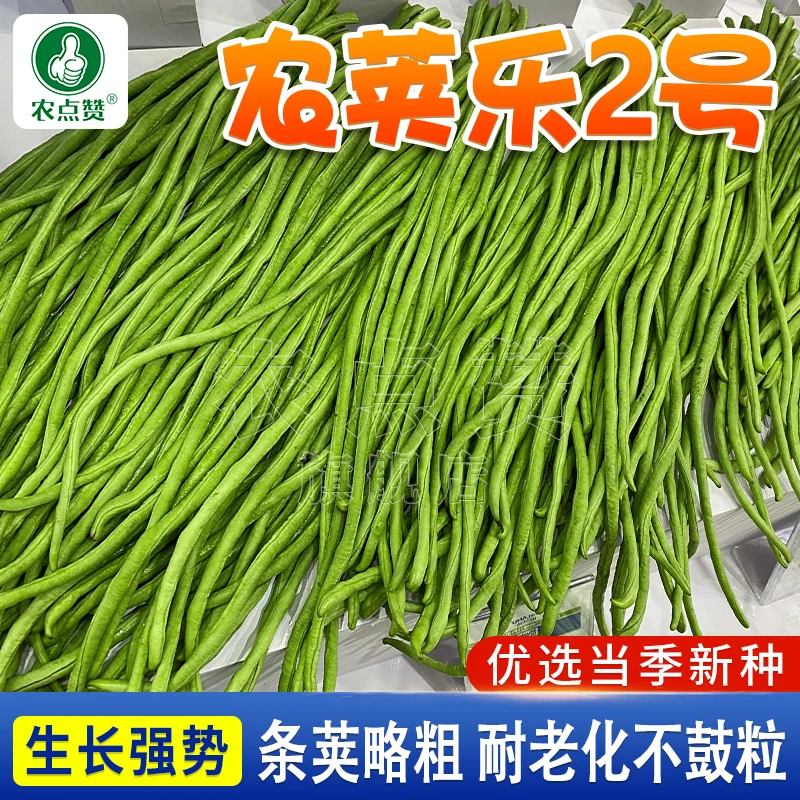 春夏长豇豆种籽  长豆角地豆角无架豆豆芸阳台四季易种蔬菜种子