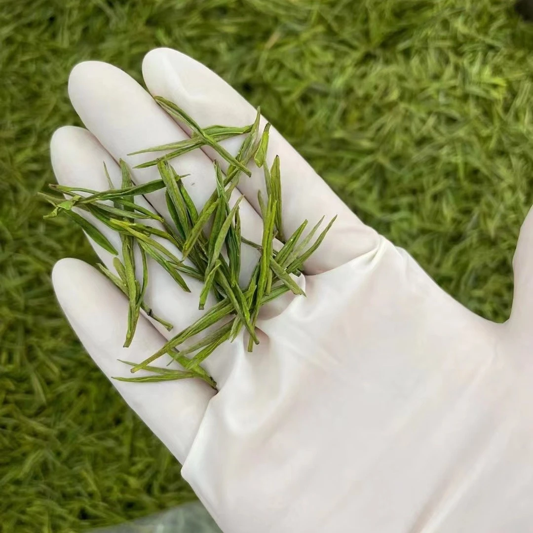 2025新茶安吉白茶500g