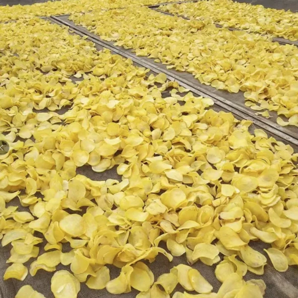 贵州毕节特产农家干土豆片晒洋芋片干货500g包邮