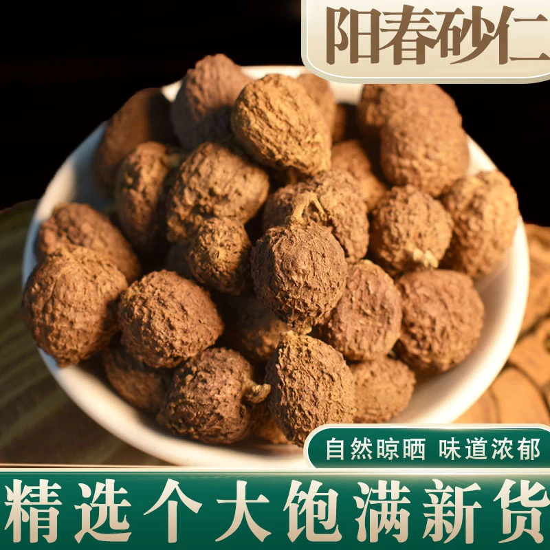 【出口级】阳春春砂仁正宗特产 沙仁野新生阳春砂 广东砂仁50g500克