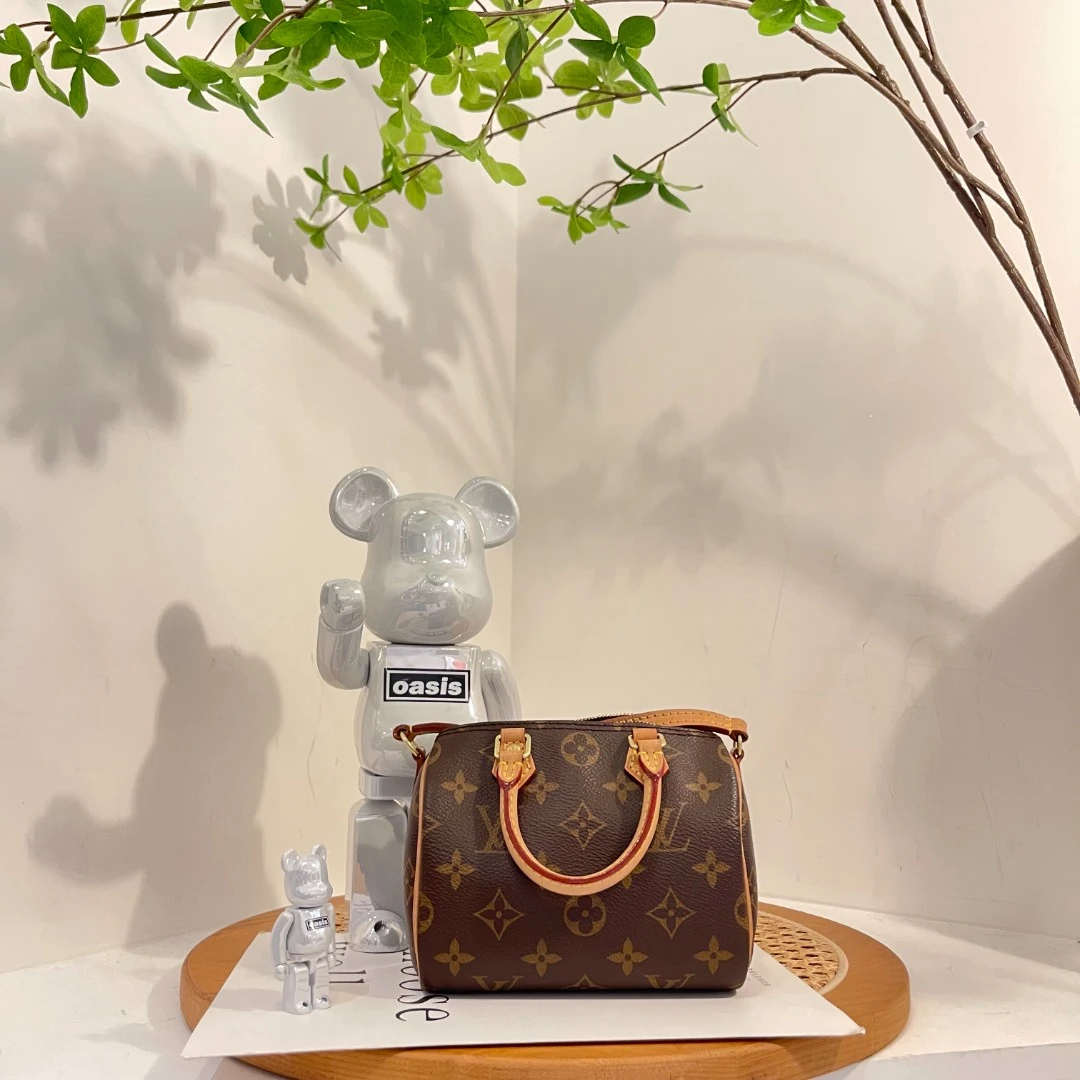 95新 LouisVuitton/路易威登 speedy nano枕头包/F