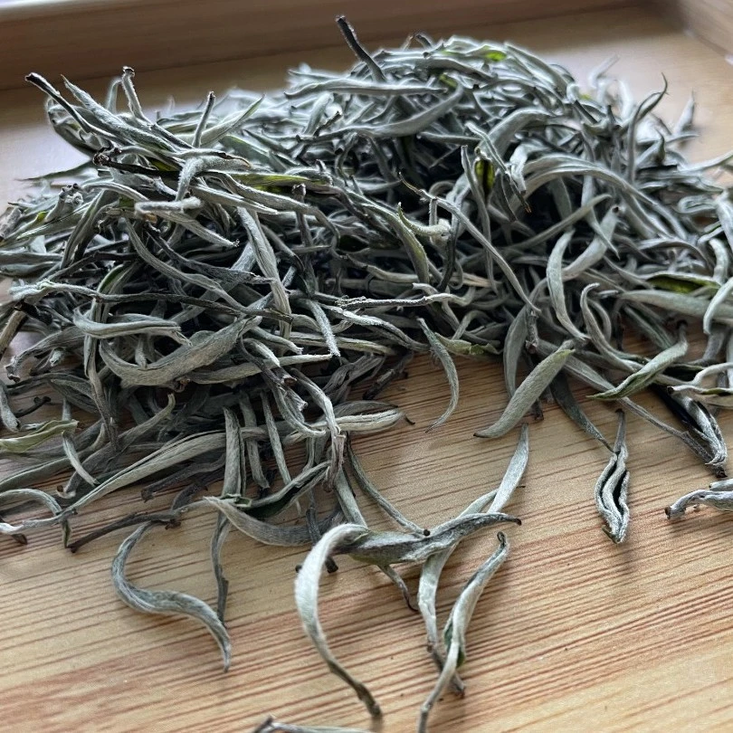 2025年春白茶毛尖