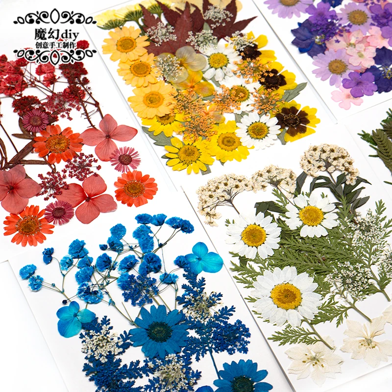 干花真花压花diy水晶滴胶手机壳摆台杯垫挂牌钥匙扣装饰手工材料