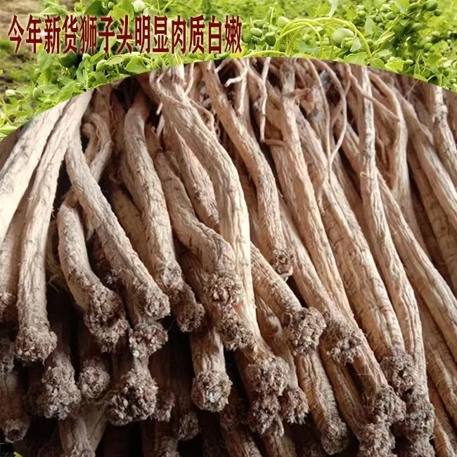 甘肃农家种植党参大条整条发货250-500克包邮