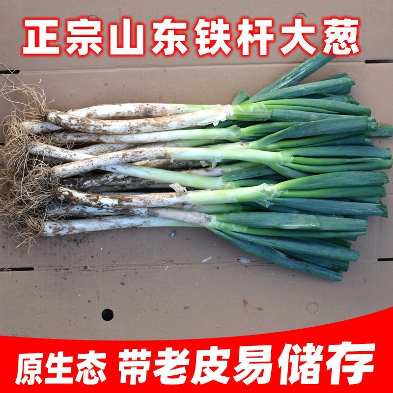 正宗山东精选铁杆大葱绿色新鲜去半叶带老皮【易储存】3/5/9斤