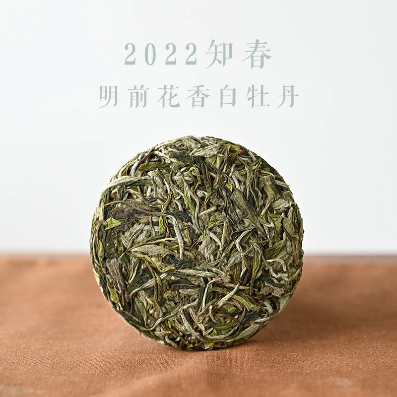 2022明前知春花香清甜一级白牡丹松压小饼50g福鼎管阳传统高山茶