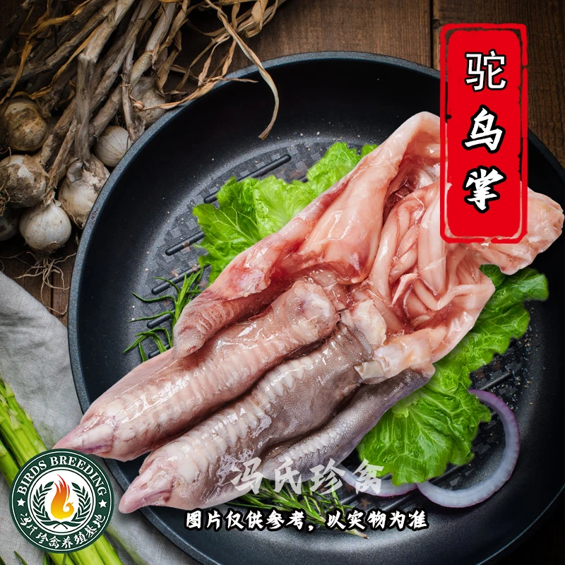 冯氏珍禽自养驼鸟驼掌一对带筋净含量约4斤（偏远地区不包邮）