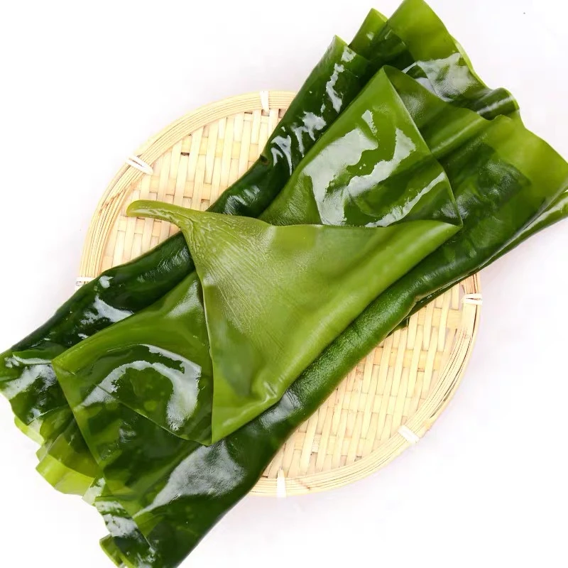 海带饭包菜  带箱5斤