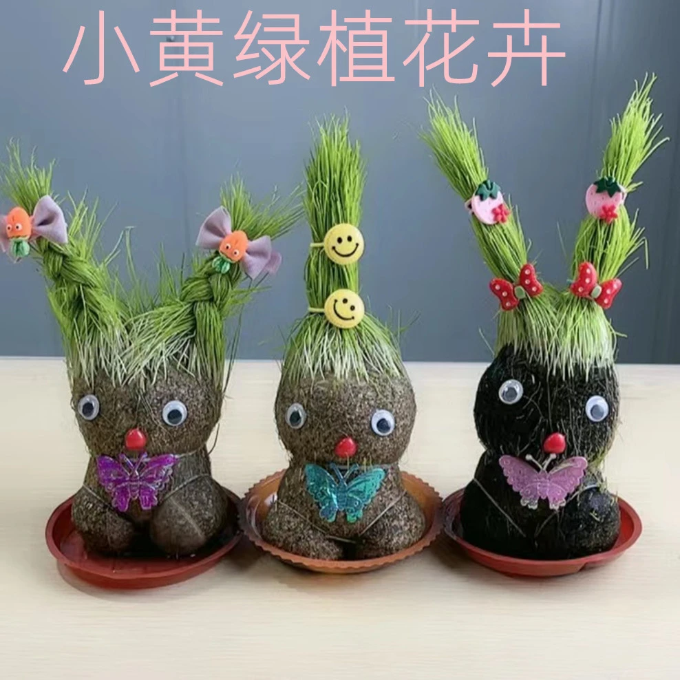 草头娃娃（遇水长草）