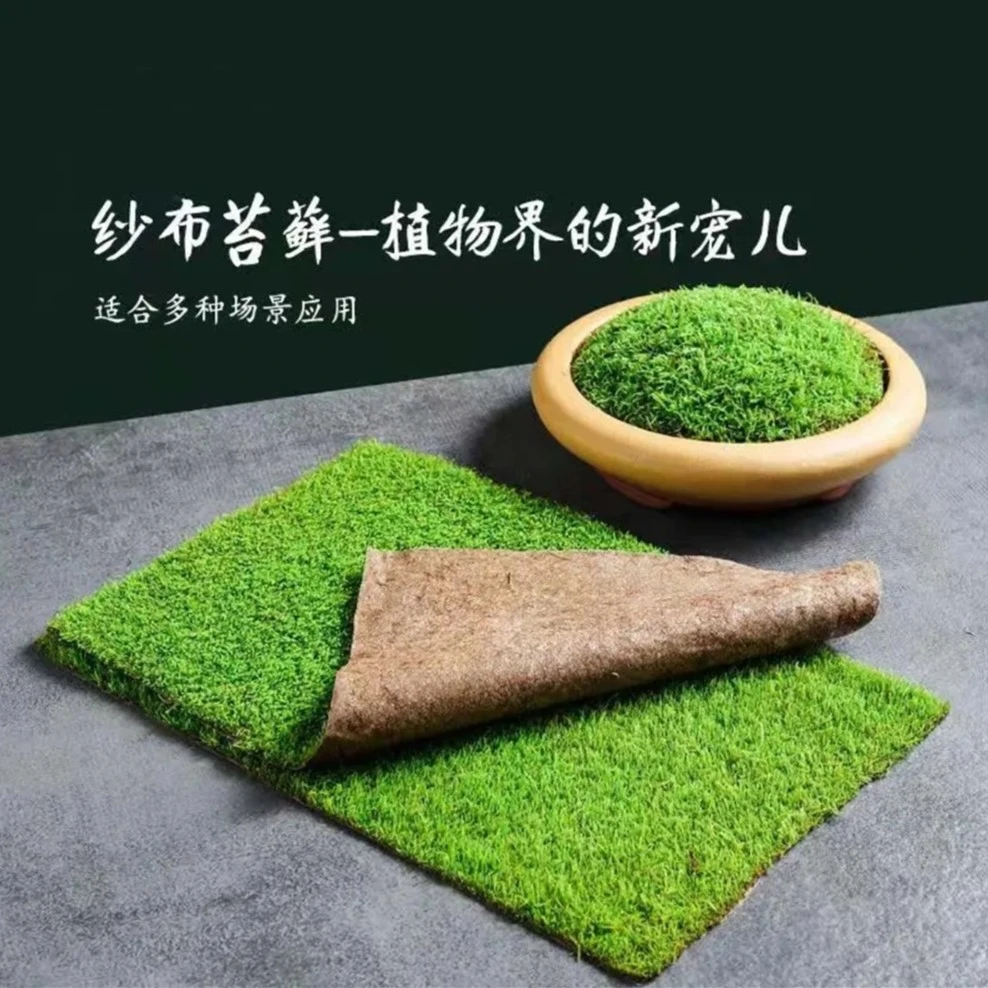 苔藓（人工驯化优质短绒）整片：长34厘米  宽24厘米