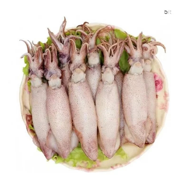 连云港海兔/籽乌   天然籽满籽满膏  每包32只装