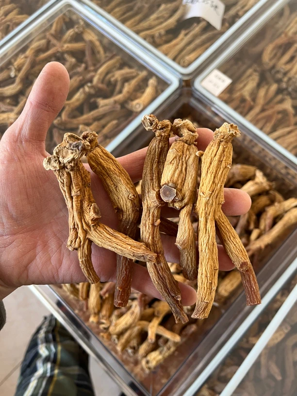 高丽参原枝货一级货黄金参黄金皮菊花心好肉质14支一斤