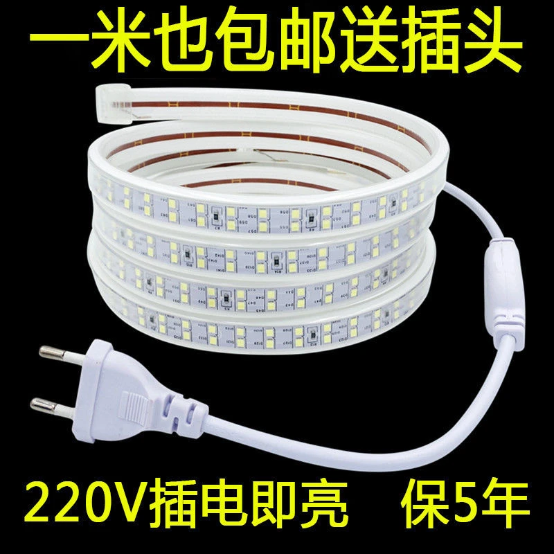送插头LED灯带条家用户外led高压220V客厅灯防水超亮灯条