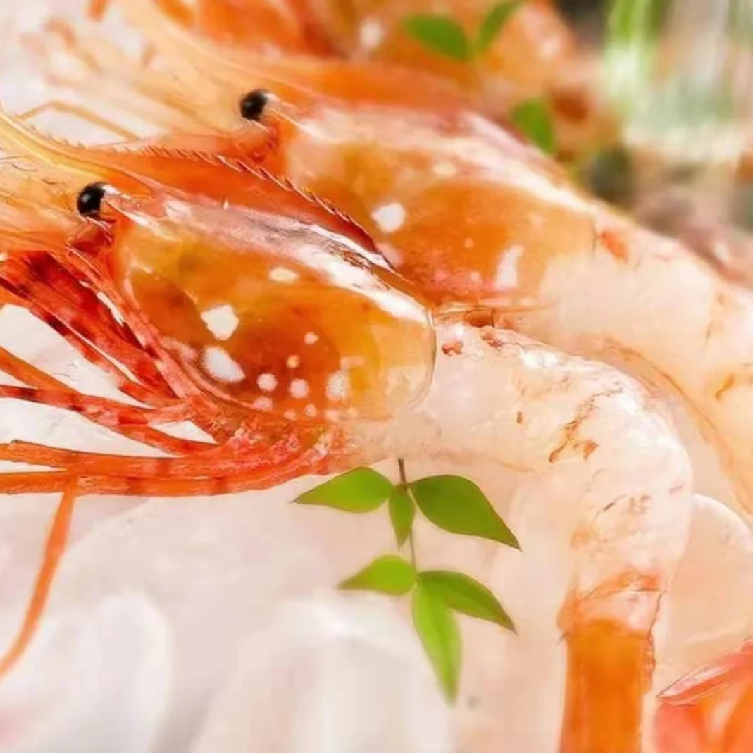 集创鲜 俄罗斯进口白牡丹虾500g 大号冷冻白牡丹虾刺身顺丰包邮